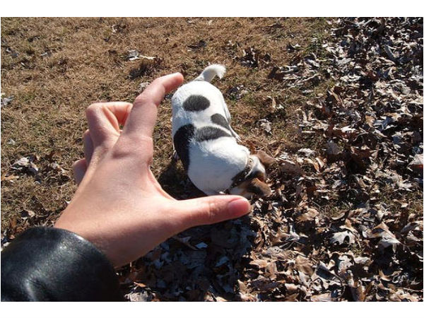 ಈ ರೀತಿಯೂ ಫೋಟೋ ತೆಗೆಯಬಹುದಾ ?