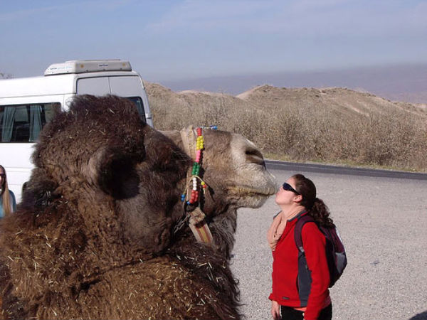 ಈ ರೀತಿಯೂ ಫೋಟೋ ತೆಗೆಯಬಹುದಾ ?