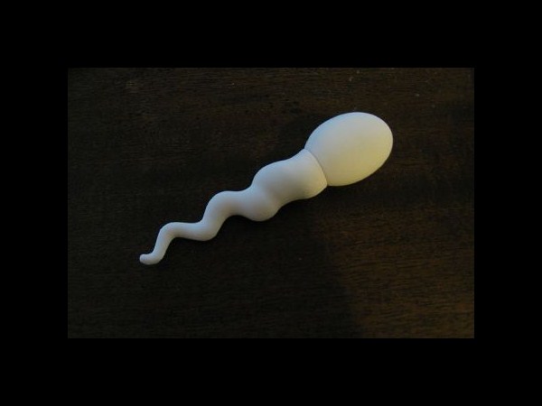 ಈ ರೀತಿಯ ಪೆನ್‌ಡ್ರೈವ್‌ ನೋಡಿದ್ದೀರಾ..? 