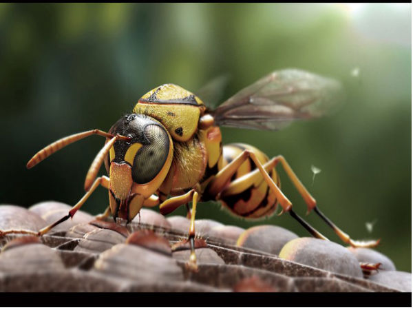 ಅಬ್ಬಬ್ಬ ಎಂಥ ಫೋಟೋಗಳಿವು.. ಅಬ್ಬಬ್ಬ ಎಂಥ ಫೋಟೋಗಳಿವು..