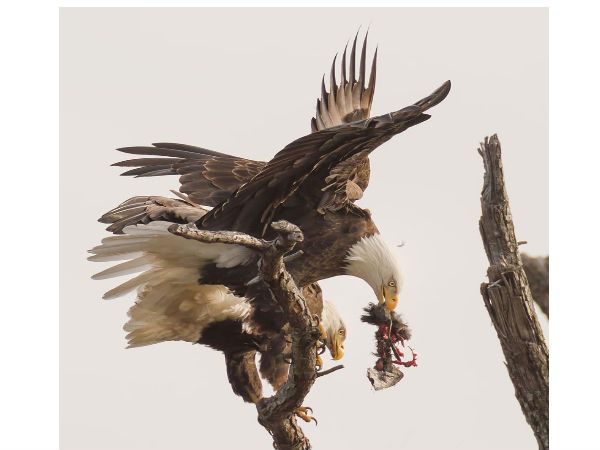  ನೋಡಿದರೆ ಮತ್ತೊಮ್ಮೆ ನೋಡಬೇಕು ಈ ಫೋಟೋಗಳನ್ನು..