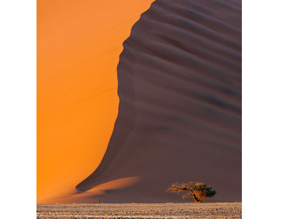  ನೋಡಿದರೆ ಮತ್ತೊಮ್ಮೆ ನೋಡಬೇಕು ಈ ಫೋಟೋಗಳನ್ನು..