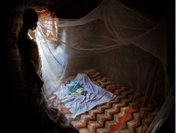  ನೋಡಿದರೆ ಮತ್ತೊಮ್ಮೆ ನೋಡಬೇಕು ಈ ಫೋಟೋಗಳನ್ನು..