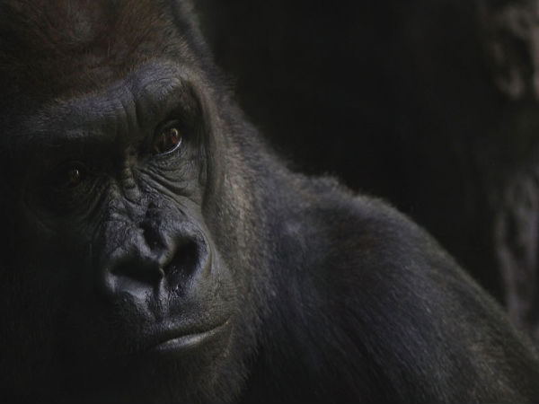  ನೋಡಿದರೆ ಮತ್ತೊಮ್ಮೆ ನೋಡಬೇಕು ಈ ಫೋಟೋಗಳನ್ನು..