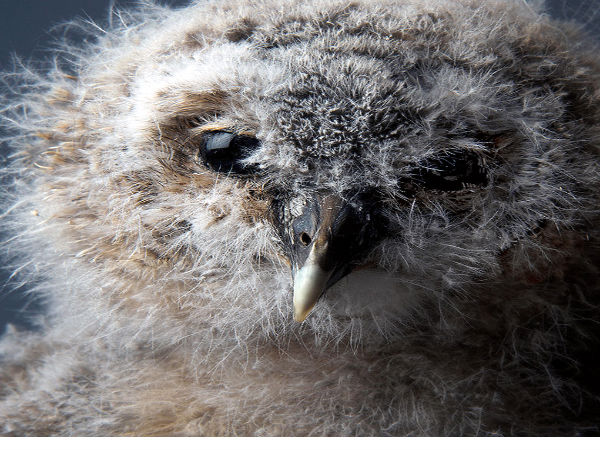  ನೋಡಿದರೆ ಮತ್ತೊಮ್ಮೆ ನೋಡಬೇಕು ಈ ಫೋಟೋಗಳನ್ನು..