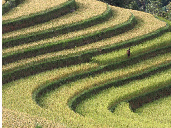  ನೋಡಿದರೆ ಮತ್ತೊಮ್ಮೆ ನೋಡಬೇಕು ಈ ಫೋಟೋಗಳನ್ನು..