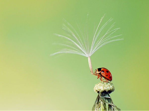  ನೋಡಿದರೆ ಮತ್ತೊಮ್ಮೆ ನೋಡಬೇಕು ಈ ಫೋಟೋಗಳನ್ನು..