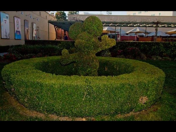 ವಾಲ್ಟ್‌ ಡಿಸ್ನಿ ಕೇಂದ್ರ ಕಛೇರಿ ಇಲ್ಲಿದೆ  ನೋಡಿ