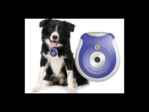 Pet’s Eye View Digital Camera