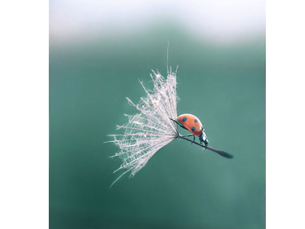 ಫೋಟೋ ಕ್ಲಿಕ್‌ 