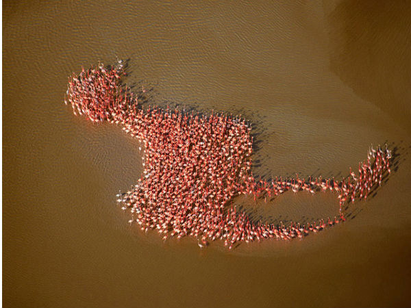 ಫೋಟೋ ಕ್ಲಿಕ್‌ 