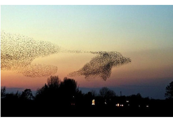 ಫೋಟೋ ಕ್ಲಿಕ್‌ 