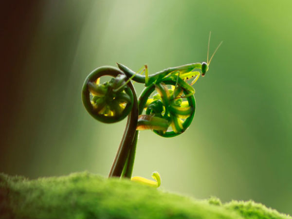 ಫೋಟೋ ಕ್ಲಿಕ್‌ 