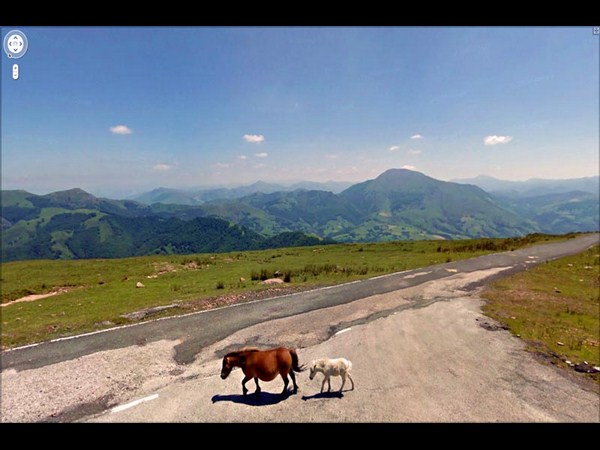 ಗೂಗಲ್‌ ಸ್ಟ್ರೀಟ್‌ ವ್ಯೂನಲ್ಲಿ ಸೆರೆಯಾದ  ಸುಂದರ  ದೃಶ್ಯಗಳು
