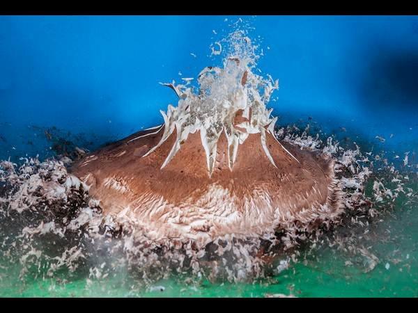 ಹೈಸ್ಪೀಡ್‌ ಫೋಟೋಗ್ರಫಿ