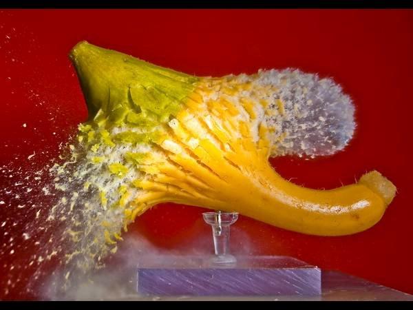 ಹೈಸ್ಪೀಡ್‌ ಫೋಟೋಗ್ರಫಿ