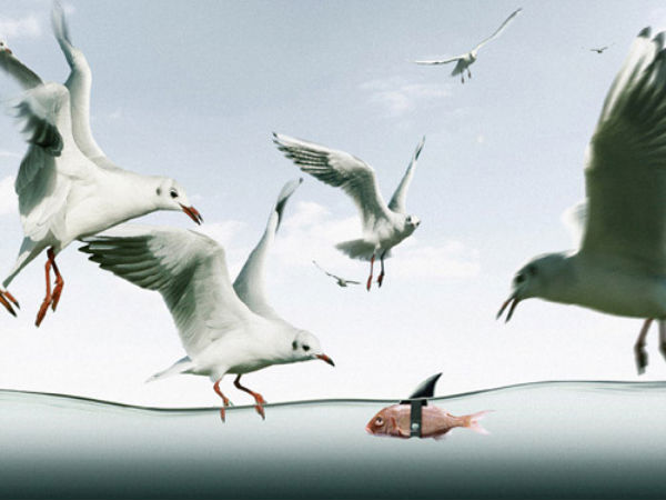 ಪರ್ಫೆಕ್ಟ್‌ ಫೋಟೋ ಎಡಿಟಿಂಗ್‌ ಫೋಟೋಗಳು