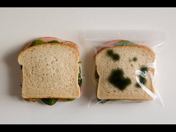 ವಿಚಿತ್ರ,ವಿಶೇಷ ಅನ್ವೇಷಣೆಗಳು