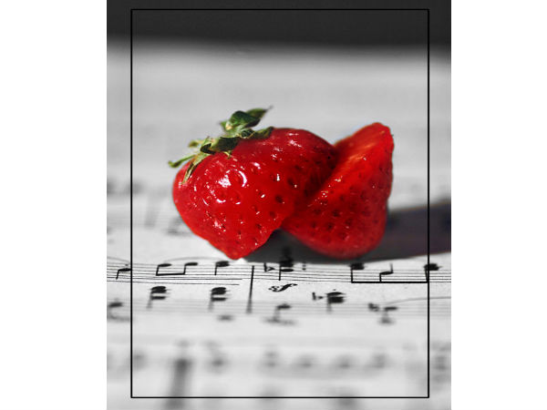 ಪರ್ಫೆಕ್ಟ್‌ ಫೋಟೋ ಎಡಿಟಿಂಗ್‌ ಫೋಟೋಗಳು