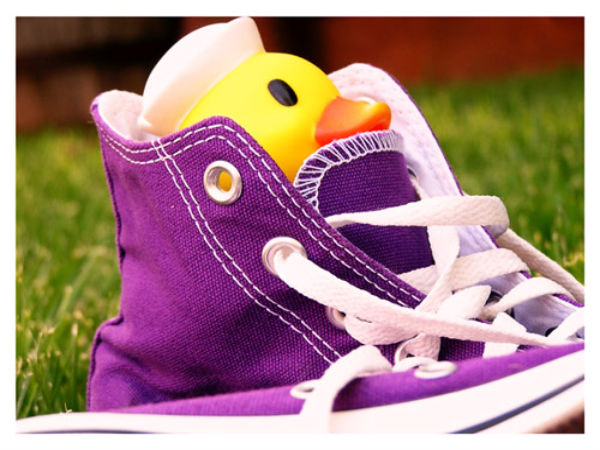 ಪರ್ಫೆಕ್ಟ್‌ ಫೋಟೋ ಎಡಿಟಿಂಗ್‌ ಫೋಟೋಗಳು