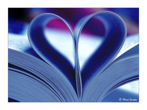 ಪರ್ಫೆಕ್ಟ್‌ ಫೋಟೋ ಎಡಿಟಿಂಗ್‌ ಫೋಟೋಗಳು