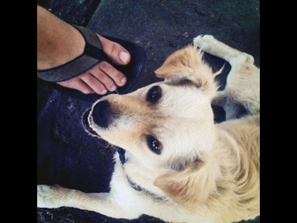 ಇನ್ಸ್ಟಾಗ್ರಾಮ್ ಮೈಲಿಗಲ್ಲು ಫೋಟೋಗಳು