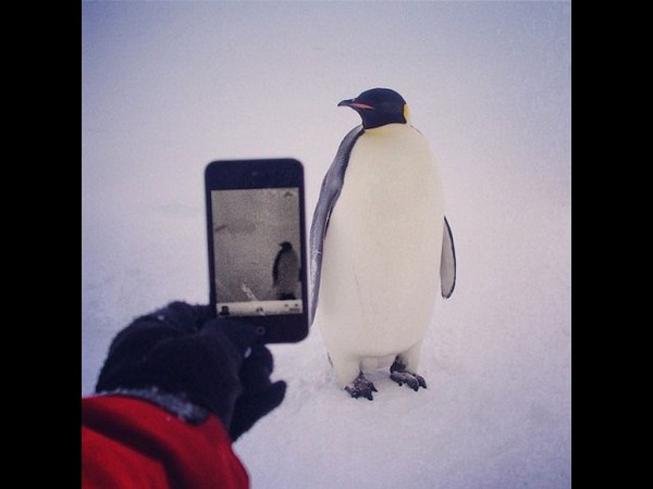 ಇನ್ಸ್ಟಾಗ್ರಾಮ್ ಮೈಲಿಗಲ್ಲು ಫೋಟೋಗಳು