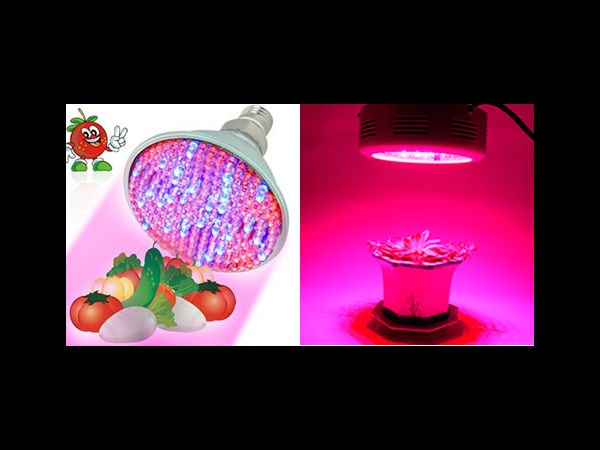 ಗ್ರೀನ್ ಗ್ಯಾಡ್ಜೆಟ್ಗಳು ಗ್ರೀನ್ ಗ್ಯಾಡ್ಜೆಟ್ಗಳು