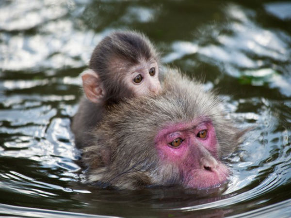 ನ್ಯಾಷನಲ್ ಜಿಯೋಗ್ರಾಫಿಕ್ ಟ್ರಾವೆಲ್ ಮ್ಯಾಗಜಿನ್ ಫೋಟೋ ಸ್ಪರ್ಧೆ -2013 ನ್ಯಾಷನಲ್ ಜಿಯೋಗ್ರಾಫಿಕ್ ಟ್ರಾವೆಲ್ ಮ್ಯಾಗಜಿನ್ ಫೋಟೋ ಸ್ಪರ್ಧೆ -2013