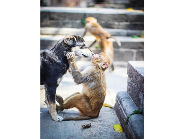 ನ್ಯಾಷನಲ್ ಜಿಯೋಗ್ರಾಫಿಕ್ ಟ್ರಾವೆಲ್ ಮ್ಯಾಗಜಿನ್ ಫೋಟೋ ಸ್ಪರ್ಧೆ -2013 ನ್ಯಾಷನಲ್ ಜಿಯೋಗ್ರಾಫಿಕ್ ಟ್ರಾವೆಲ್ ಮ್ಯಾಗಜಿನ್ ಫೋಟೋ ಸ್ಪರ್ಧೆ -2013