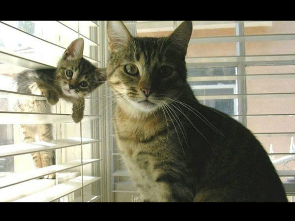 ಕ್ಯಾಮೆರಾಕ್ಕೆ ನನ್ನ ಫೋಸ್ ಹೇಗಿದೆ ? ಕ್ಯಾಮೆರಾಕ್ಕೆ ನನ್ನ ಫೋಸ್ ಹೇಗಿದೆ ?