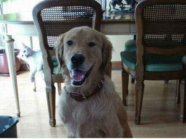 ಕ್ಯಾಮೆರಾಕ್ಕೆ ನನ್ನ ಫೋಸ್ ಹೇಗಿದೆ ? ಕ್ಯಾಮೆರಾಕ್ಕೆ ನನ್ನ ಫೋಸ್ ಹೇಗಿದೆ ?