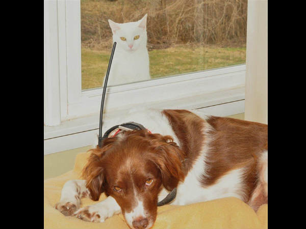 ಕ್ಯಾಮೆರಾಕ್ಕೆ ನನ್ನ ಫೋಸ್ ಹೇಗಿದೆ ? ಕ್ಯಾಮೆರಾಕ್ಕೆ ನನ್ನ ಫೋಸ್ ಹೇಗಿದೆ ?