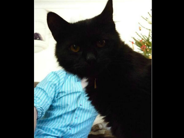 ಕ್ಯಾಮೆರಾಕ್ಕೆ ನನ್ನ ಫೋಸ್ ಹೇಗಿದೆ ? ಕ್ಯಾಮೆರಾಕ್ಕೆ ನನ್ನ ಫೋಸ್ ಹೇಗಿದೆ ?