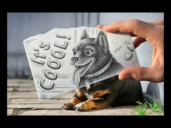 ಪೆನ್ಸಿಲ್‌ ವರ್ಸಸ್‌ ಕ್ಯಾಮೆರಾ 