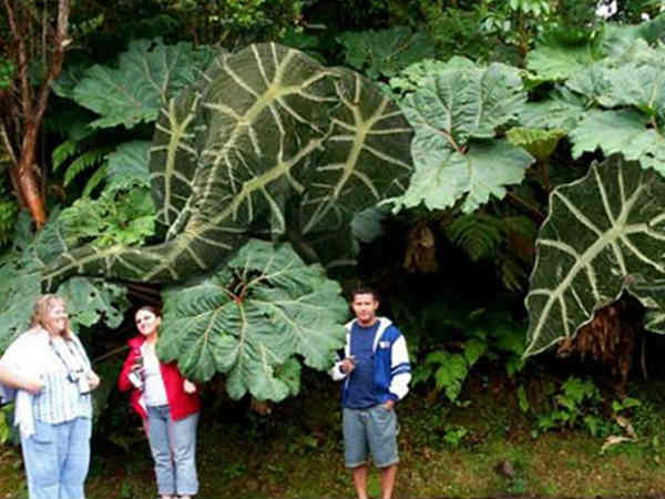 Photoshop Photo Effects Photoshop Photo Effects