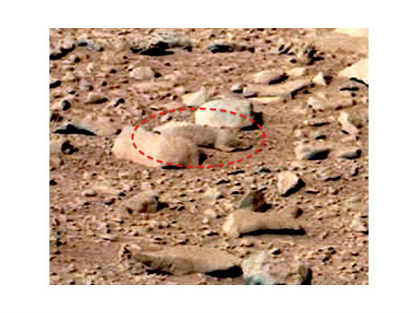 ಮಂಗಳ ಗ್ರಹದಲ್ಲಿ ಇಲಿ ಪತ್ತೆ !