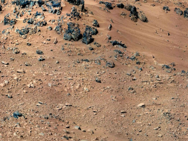 ಮಂಗಳ ಗ್ರಹದಲ್ಲಿ ಇಲಿ ಪತ್ತೆ !