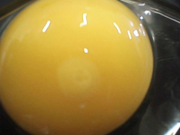 ಪೆಟ್ರಿ ತಟ್ಟೆಯಲ್ಲಿ ಕೋಳಿ ಹೇಗೆ ಬೆಳೆಯುತ್ತದೆ ?