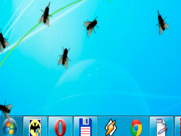 ಡೆಸ್ಕ್‌ಟಾಪ್‌ನಲ್ಲಿ ಜಿರಲೆ ನೋಡಿ..!