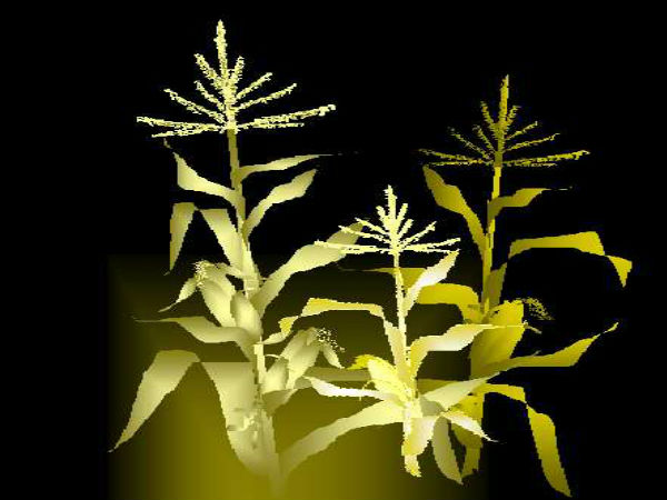 ಎಕ್ಸೆಲ್‌ ಶೀಟ್‌ ಪೈಂಟಿಂಗ್‌