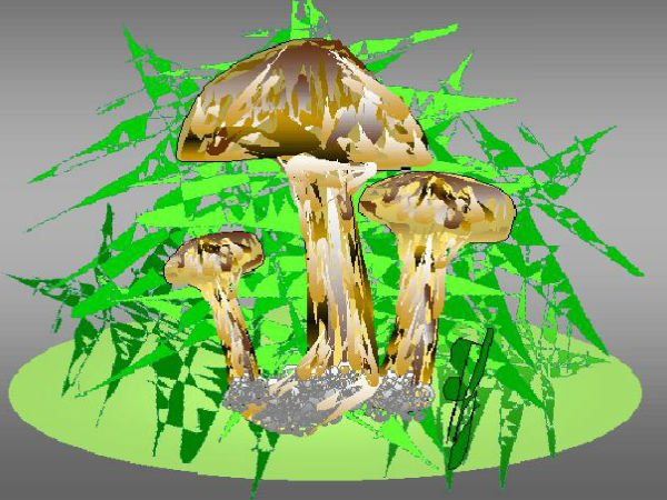 ಎಕ್ಸೆಲ್‌ ಶೀಟ್‌ ಪೈಂಟಿಂಗ್‌