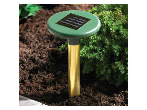 ಗ್ರೀನ್‌ ಗ್ಯಾಡ್ಜೆಟ್‌ಗಳು