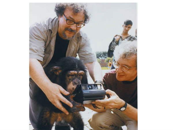  ಹರಾಜಿನಲ್ಲಿ ಚಿಂಪಾಂಜಿ ತೆಗೆದ ಫೋಟೋಗಳಿಗೆ ಬಂಪರ್‌ ದುಡ್ಡು.!