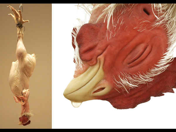 ಈ ರೀತಿಯ  ಕಲಾಕೃತಿ ನೋಡಿದ್ದೀರಾ ?