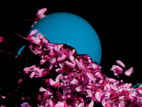 ಲೈಟ್ ಬಲ್ಬ್ ಸಿಡಿದಾಗ ಲೈಟ್ ಬಲ್ಬ್ ಸಿಡಿದಾಗ