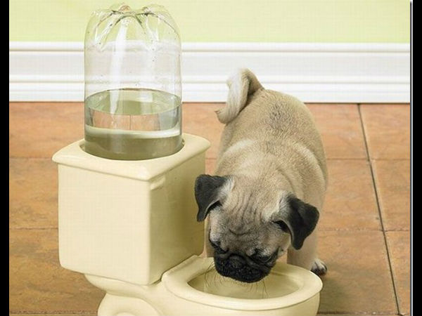 ಕ್ರಿಯೇಟಿವ್ ಗ್ಯಾಜೆಟ್ಗಳು ಕ್ರಿಯೇಟಿವ್ ಗ್ಯಾಜೆಟ್ಗಳು