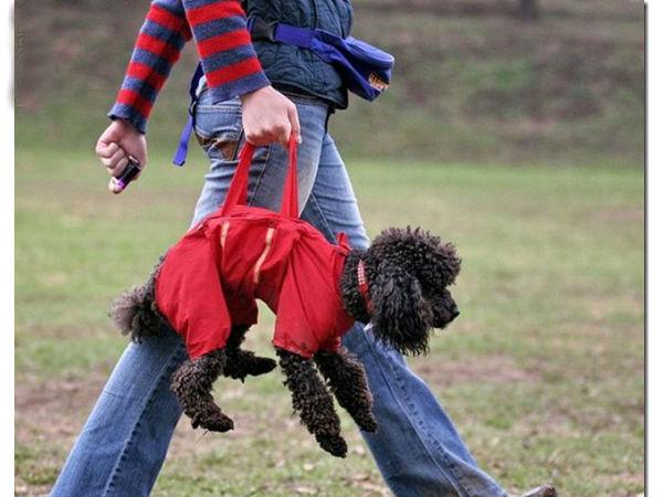 ಕ್ರಿಯೇಟಿವ್ ಗ್ಯಾಜೆಟ್ಗಳು ಕ್ರಿಯೇಟಿವ್ ಗ್ಯಾಜೆಟ್ಗಳು