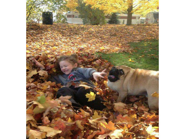 ಕುತ್ತಿಗೆ ಇಲ್ಲದ ಪ್ರಾಣಿಗಳು! ಕುತ್ತಿಗೆ ಇಲ್ಲದ ಪ್ರಾಣಿಗಳು!