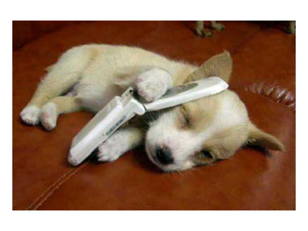 ಮೊಬೈಲ್ ಜಗತ್ತಿನ ಸ್ವಾರಸ್ಯಕರ ಫೋಟೋಗಳು ಮೊಬೈಲ್ ಜಗತ್ತಿನ ಸ್ವಾರಸ್ಯಕರ ಫೋಟೋಗಳು